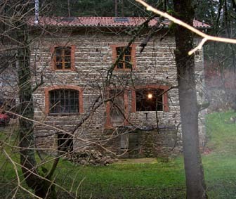 View from the stream